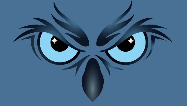 Wiseeye Property Inspections LLC